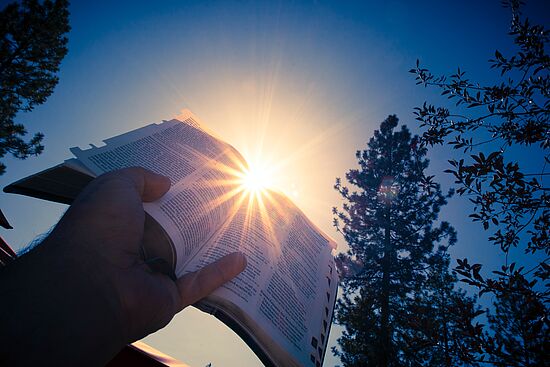 Gott auf der Spur. Bibel entdecken