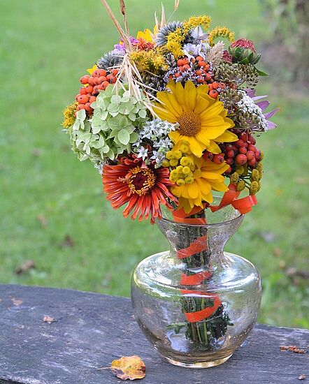 Für jede Not ein Kraut gewachsen!? - Kräuterbuschen