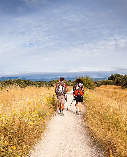 Dem Leben auf der Spur