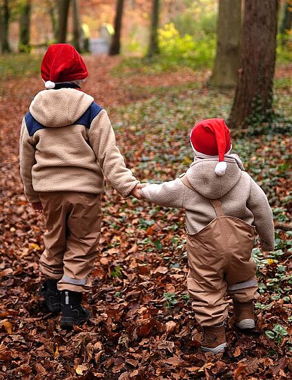 Nikolaus´ geheimnisvoller Winterwald (DGF)