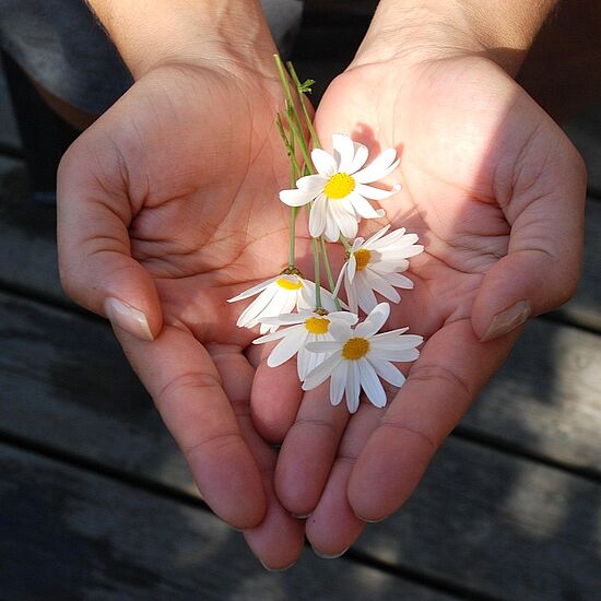 Um eine Mitte, die trägt - Basisgruppe:
Geben und Nehmen