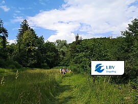 Entdeckungsreise entlang des Teisbachs