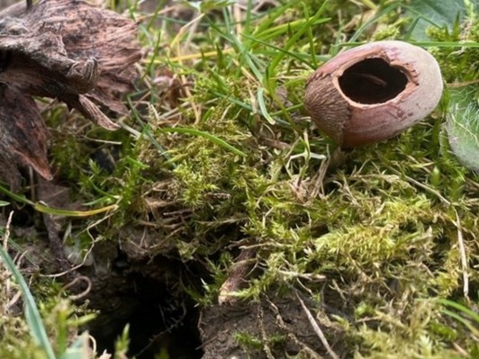 Naturdetektive im Mäandertal – Auf Spurensuche im Herbst